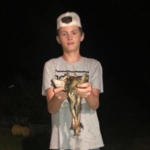 Meet your Posher, Samuel